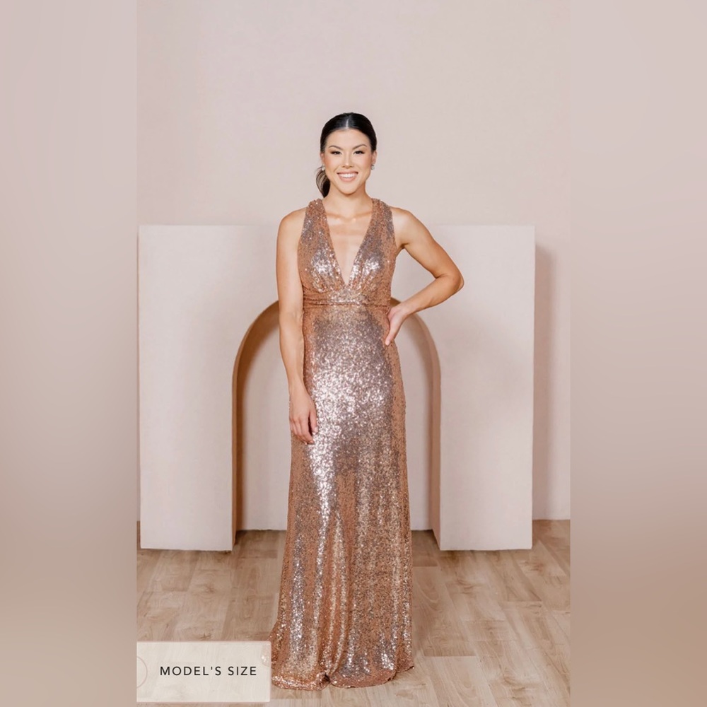 Revelry Dylan Sequin dress in Rose Gold color, size 4